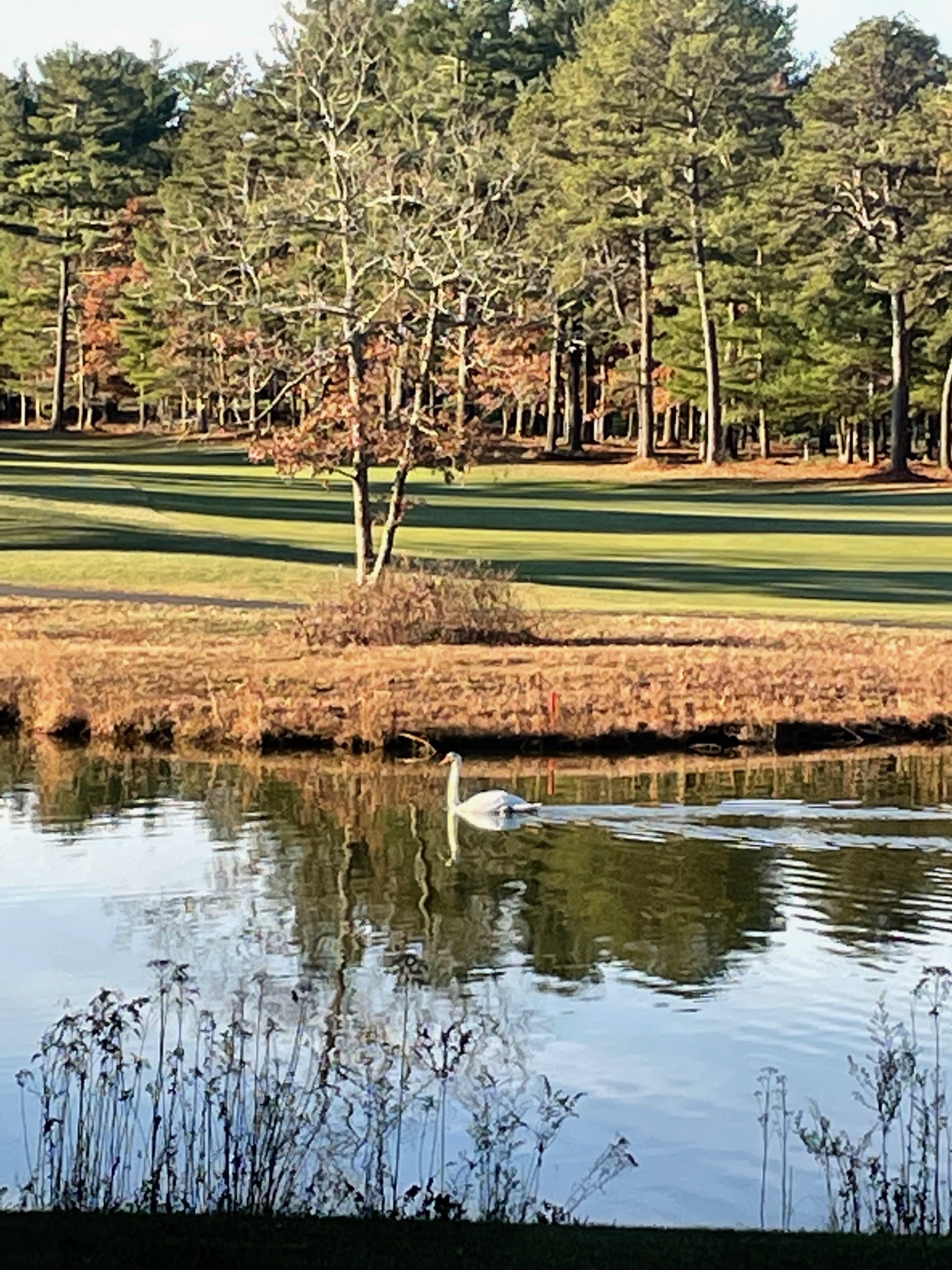 Pinehills Golf Course